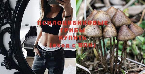 спайс Нягань
